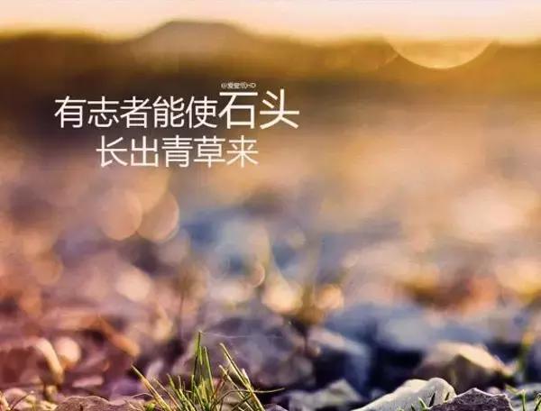 {21點}(分享一下免费的正能量网站)